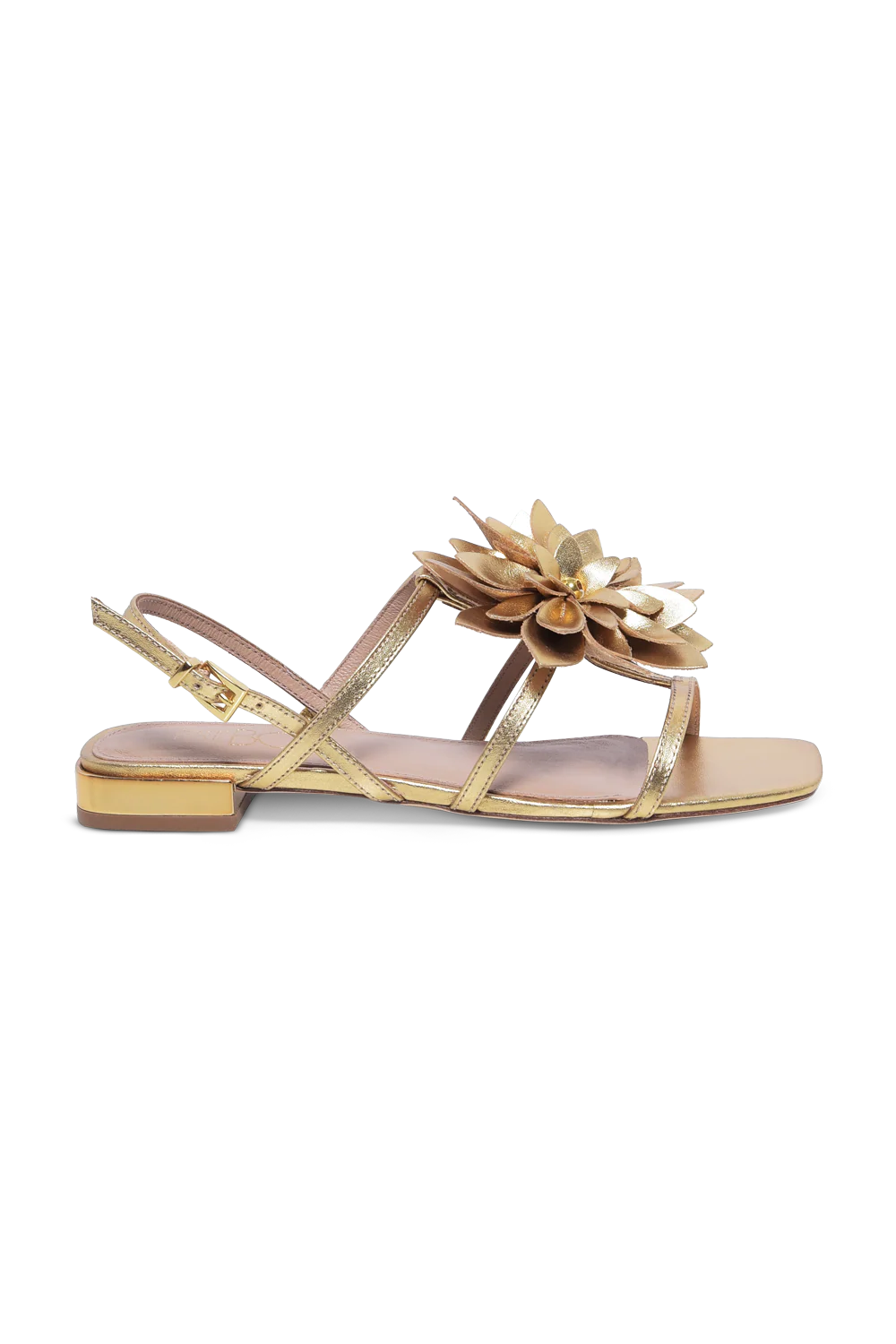 ELSA FLAT